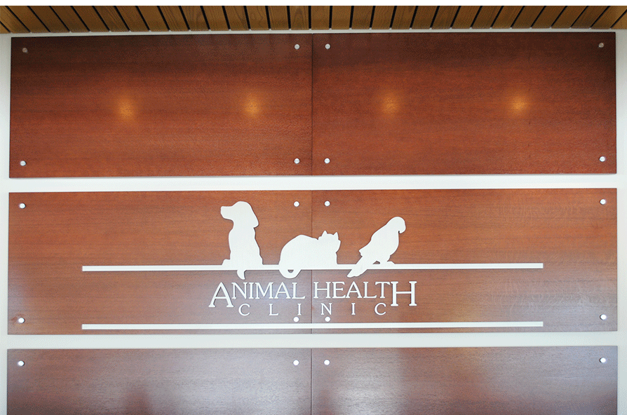 Animal-Health-Clinic-2