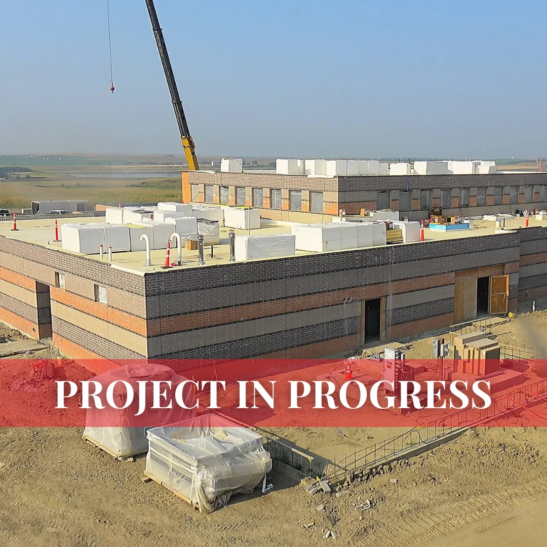 Project In Progress (5)