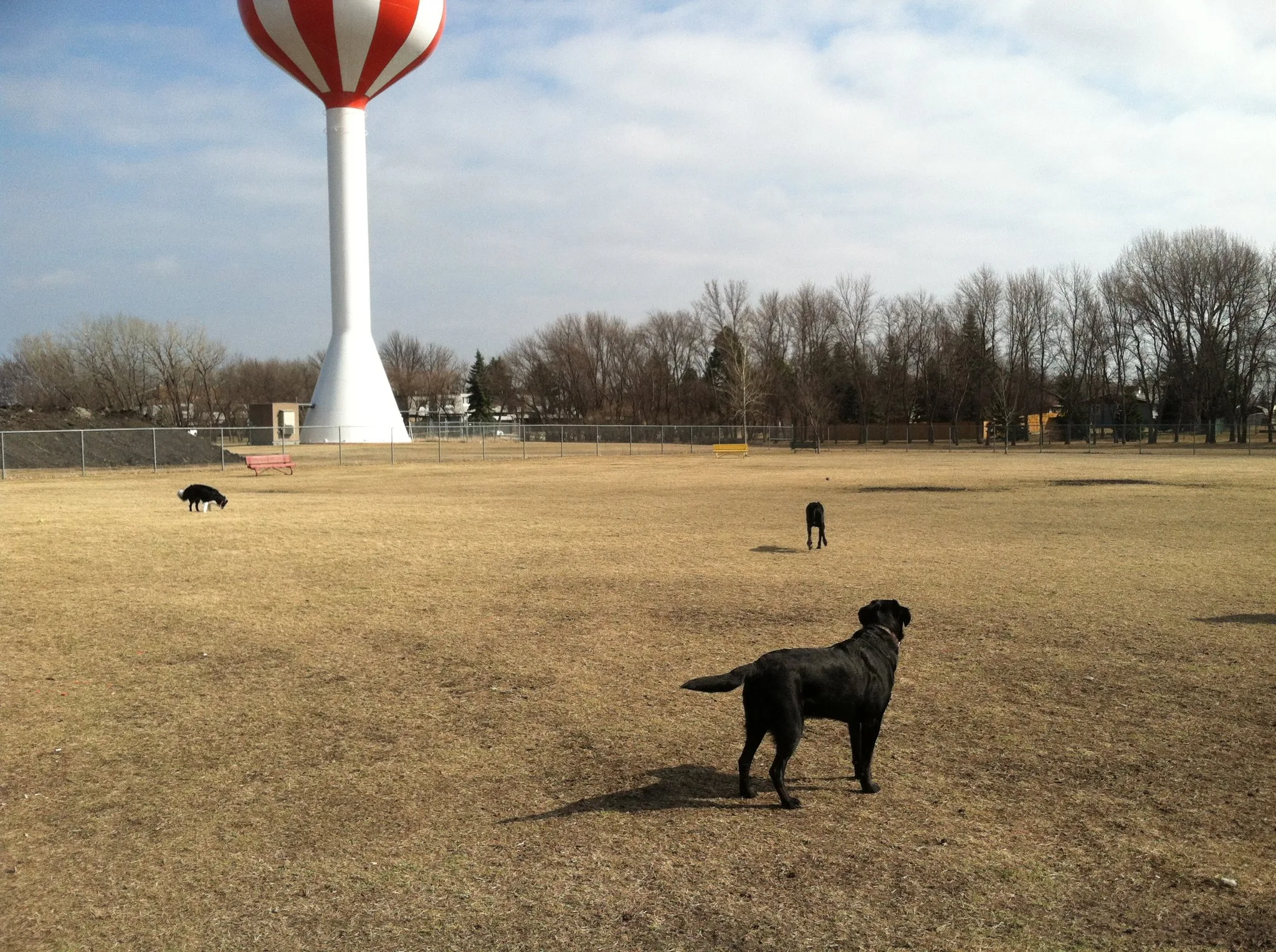 yunkerfarmdogpark